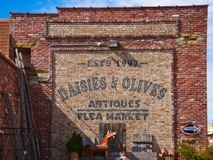 Daisies & Olives in Prairie Grove, AR
