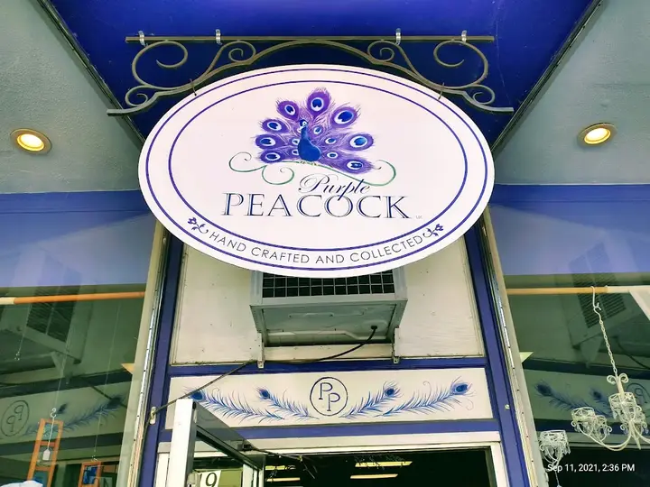 Purple Peacook