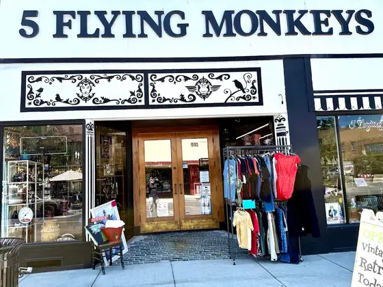 5 Flying Monkeys