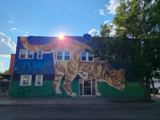 Alley Katz