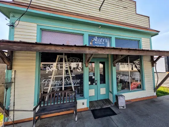 Alley's Vintage Shoppe
