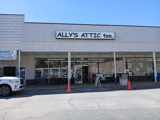 Ally's Attic