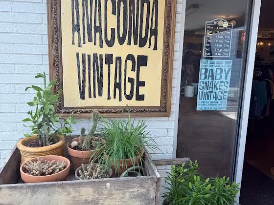 Anaconda Vintage
