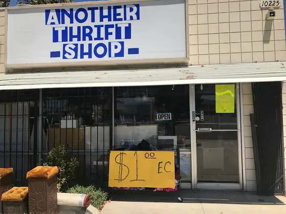 Another Thrift Shop