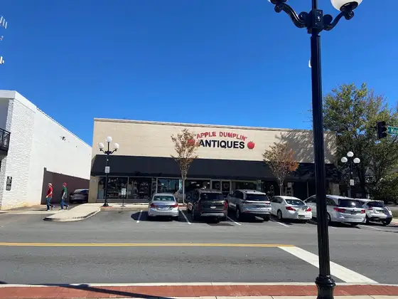 Apple Dumplin' Antique Mall