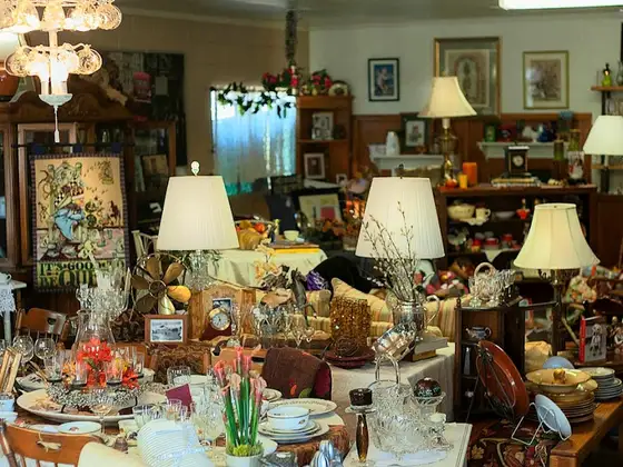 Astro Thrift & Gift Shop