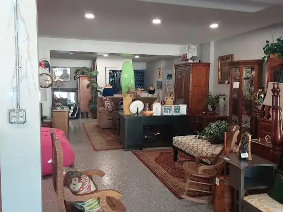 Ayla's Acres No-Kill Animal Rescue Thrift Shop