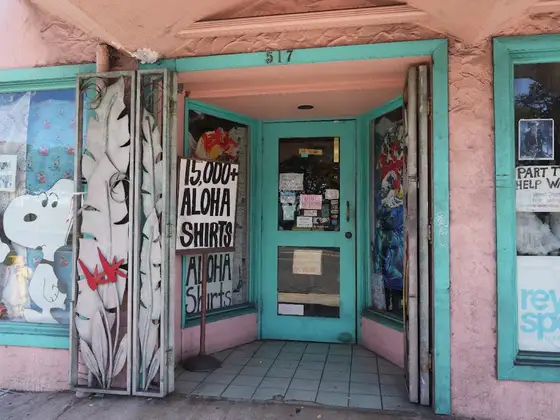 Bailey's Antiques and Aloha Shirts