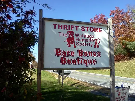 Bare Bones Boutique