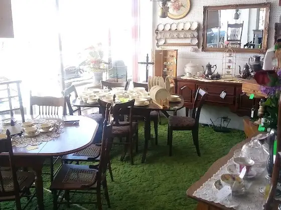 Beech Tree Antiques
