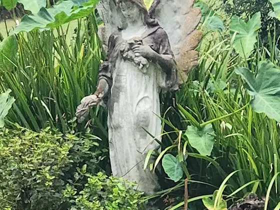 Bella Antiques
