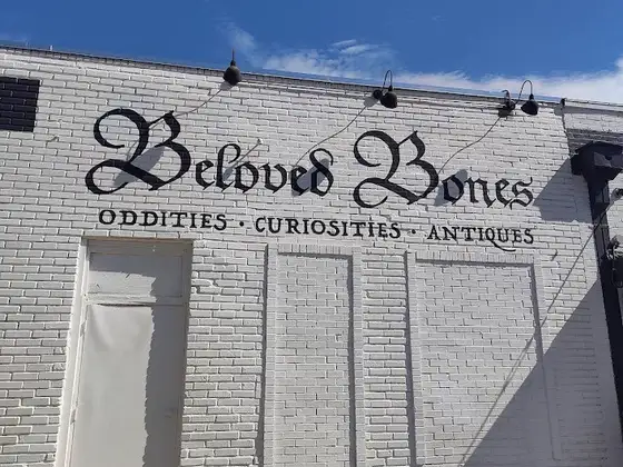Beloved Bones