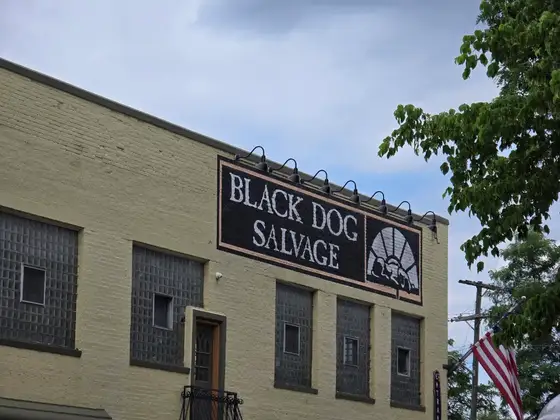 Black Dog Salvage