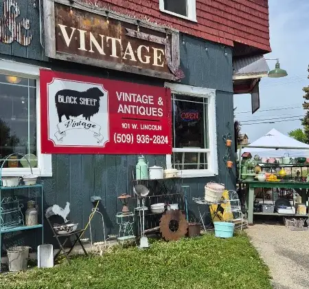 Black Sheep Vintage