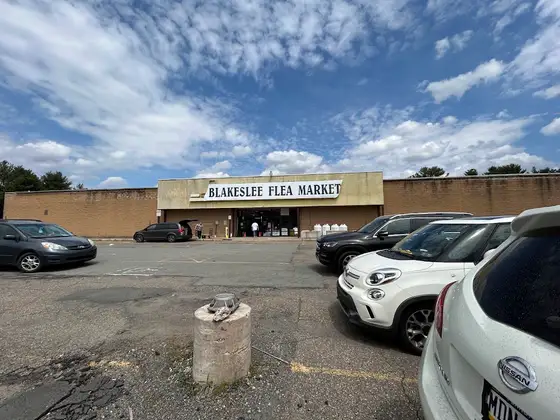 Blakeslee Flea Market