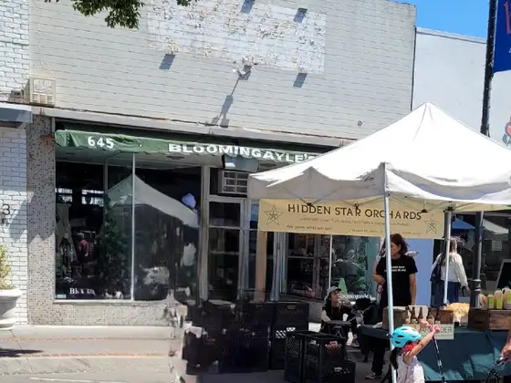 Bloomingayle's