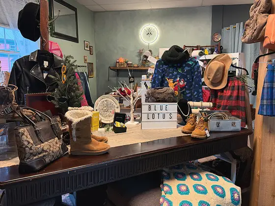 Blue Lotus Boutique