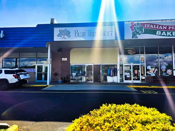 Blue Tree Thrift
