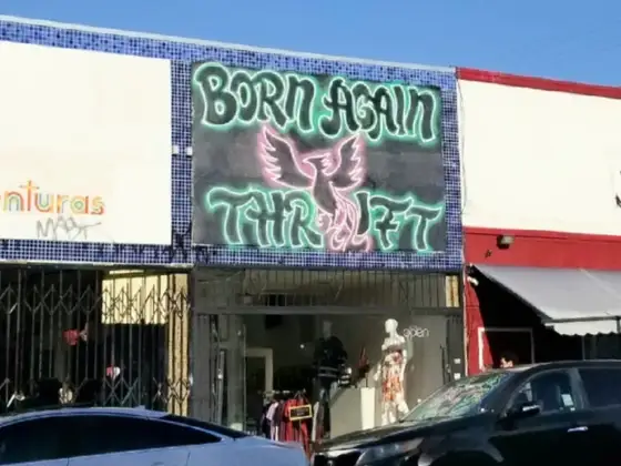 Born Again Thrift
