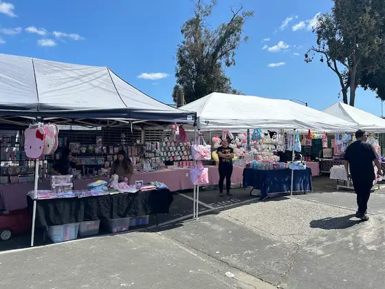 Capitol Flea Market