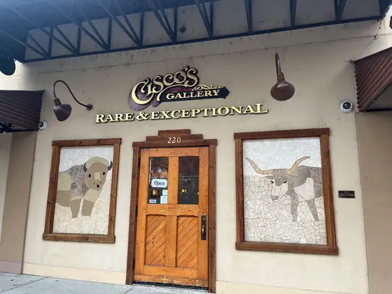 Cisco's Gallery
