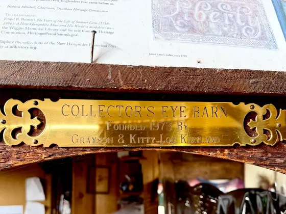 Collector's Eye