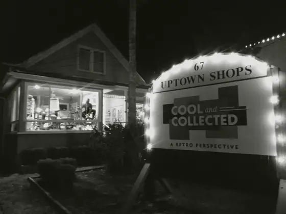 Cool & Collected Vintage & Antiques