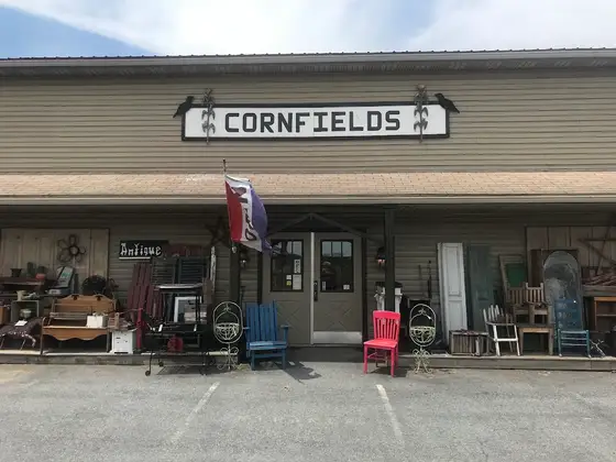 Cornfields