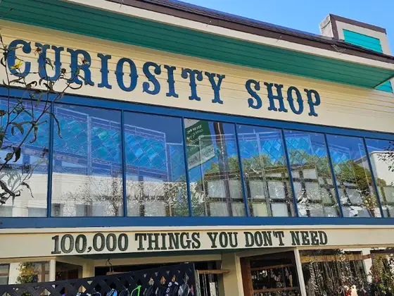 Curiosity Shop