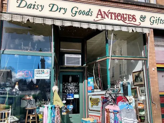 Daisy Dry Goods