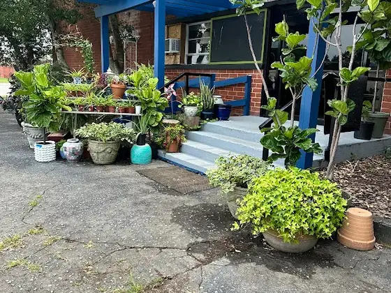 Design Market