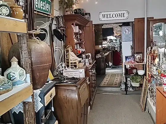 Dr. D's Treasures