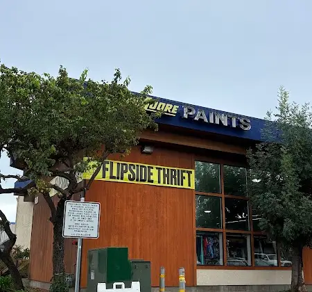 Flipside Thrift