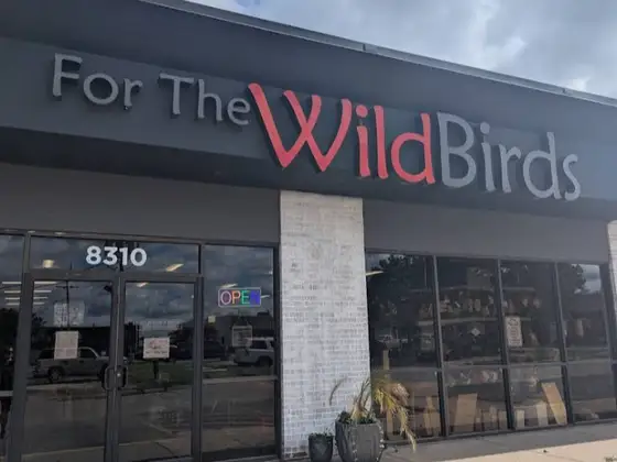 For The Wild Birds