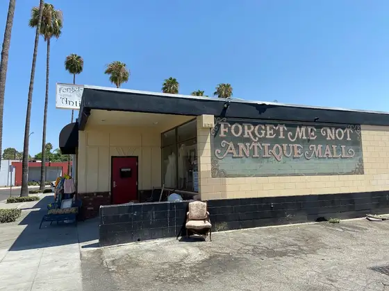 Forget Me Not