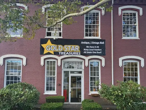 Gold Star Treasures Antique Store