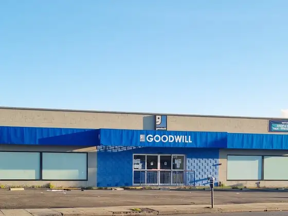 Goodwill
