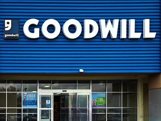 Goodwill