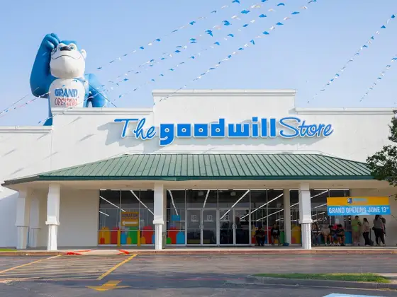 Goodwill