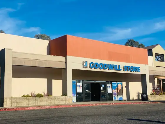 Goodwill