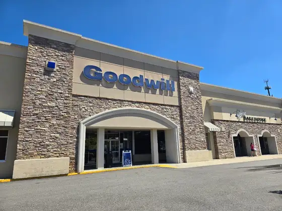 Goodwill