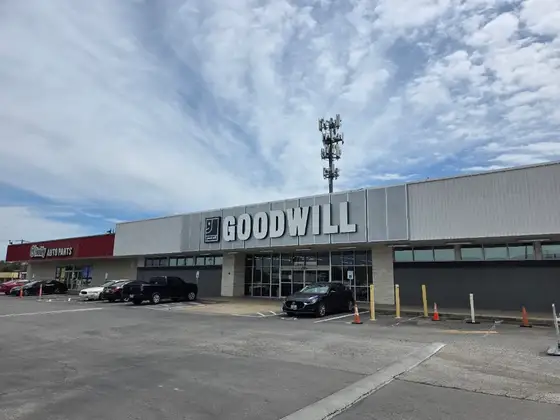 Goodwill