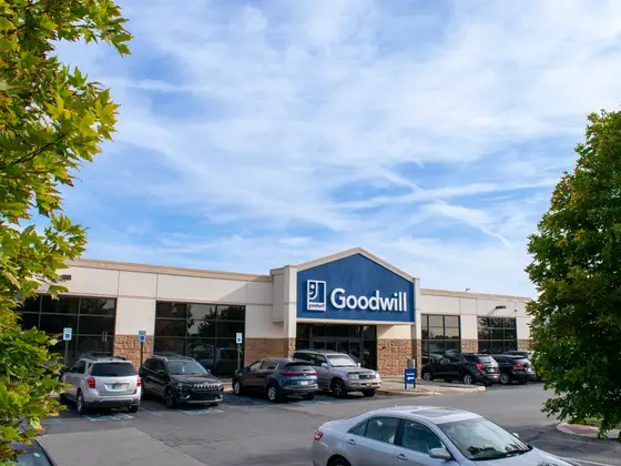 Goodwill