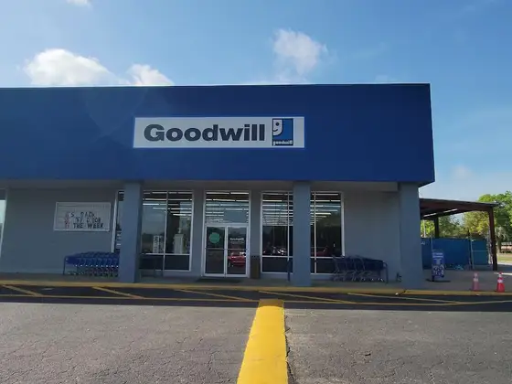 Goodwill