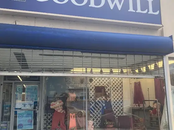 Goodwill