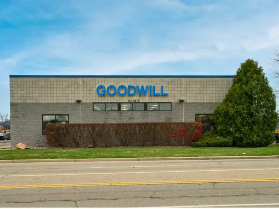 Goodwill