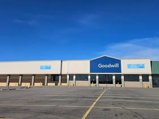 Goodwill