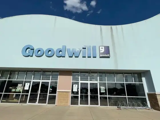 Goodwill
