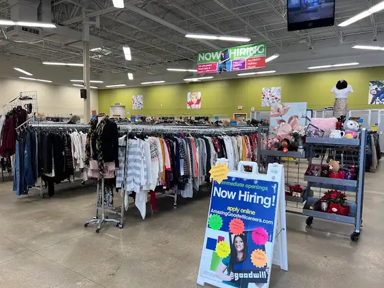 Goodwill