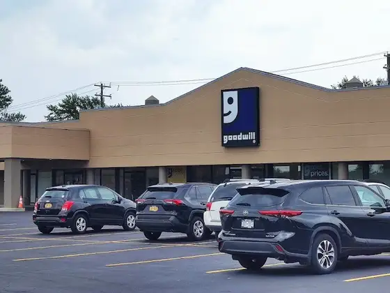 Goodwill